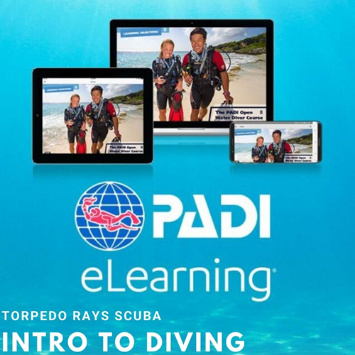 Introductory Diving Course